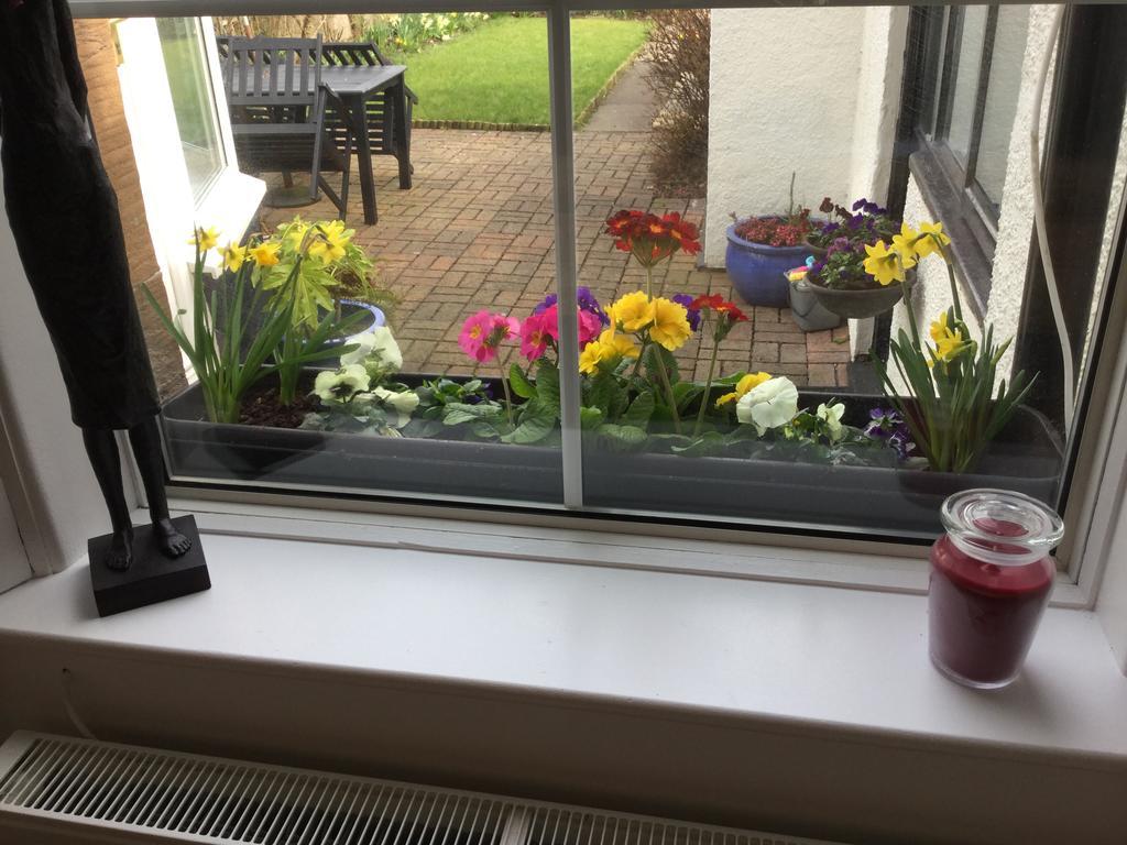 Craggallan Guest House 艾尔 外观 照片